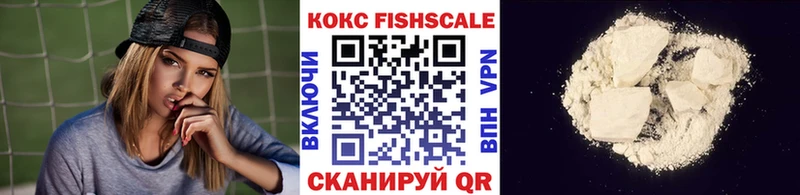 Купить закладки  Заволжск  COCAIN 98% 