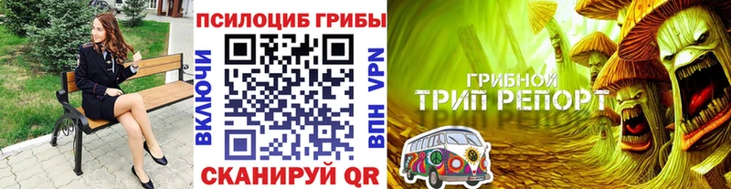 Купить закладки  Заволжск  Галлюциногенные грибы MAGIC MUSHROOMS 
